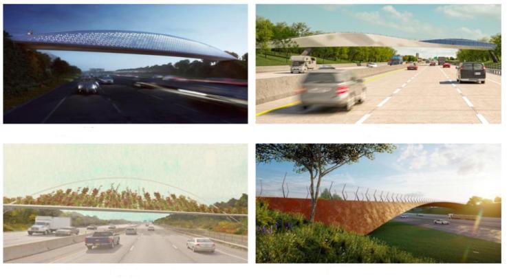 Buffalo pedestrian bridge - shortlisted entries