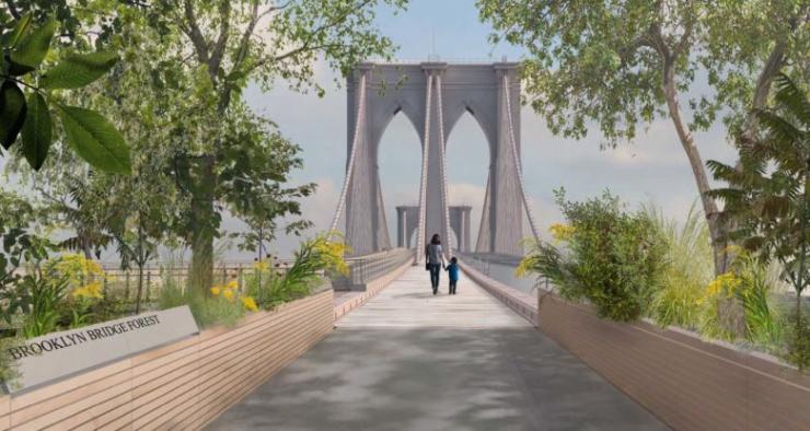 Brooklyn Bridge Forest -  Reimagining Brooklyn Bridge